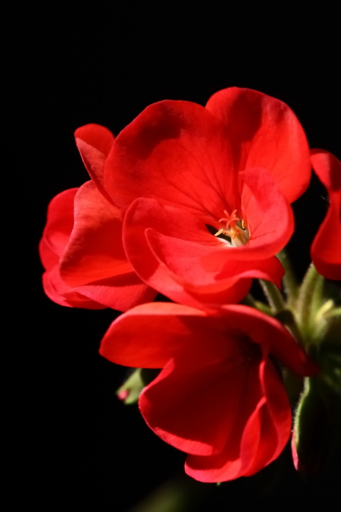 2012 03 08 8553